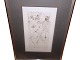 Hans Bellmer raderingErotisk anatomistudie