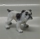Dahl Jensen figurine 1135 English Bulldog (DJ) 10 cm