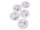Full Saxon FlowerSmall tray 7.3 cm.