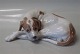Royal Copenhagen figurine 1634 RC Pointer Lauritz Jensen 1914 6 x 20 cm 
