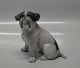 Kongelig Dansk 2802 Englelsk Bulldog Knud Kyhn 1927 11 x 12 cm  