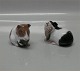 B&G  2479 Guinea-pig with green leaf 8 x 11 cm B&G 2500 Guinea-pig with corn   8.5 x 11 cm	