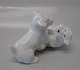Royal Copenhagen Art Pottery 20231 Westies Playing White Stoneware KK 12 x 8 cm