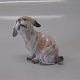 Dahl Jensen dog figurine 1120 Belgian griffon (DJ) 6.5 cm