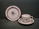 Blue Carnation China porcelain. Settings coffee service
