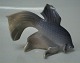 Kongelig Dansk fisk 3064 Kgl. Slørhale Platen Hallermundt 5 cm