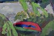 sub: 3