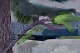 sub: 4