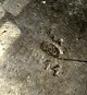 sub: 2