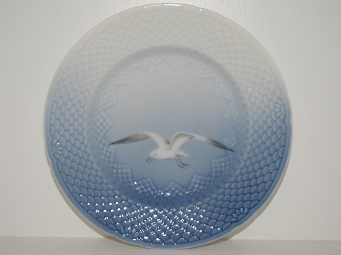 Måge<br>Uden guldkant