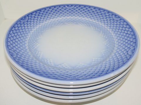 Blå Tone<br>Musling