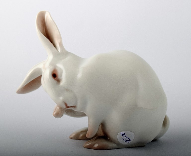 Bing & Grondah,l B&G 159, rabbit. 