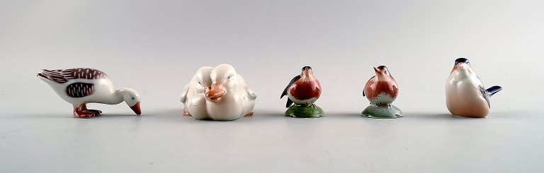 5 Royal Copenhagen kgl. P. B&G Bing & Grøndahl porcelænsfigurer.Ænder, gås, 3 fugle.