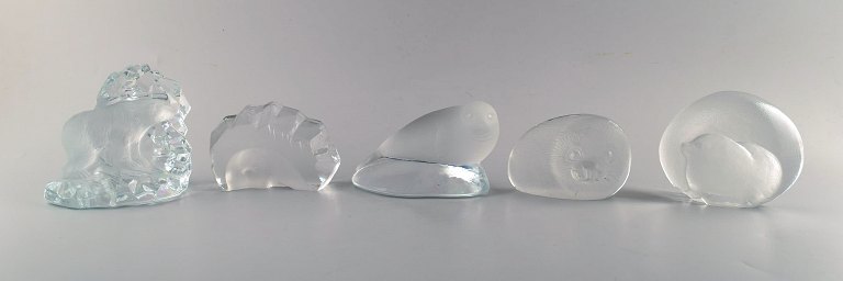 A collection of 5 art glass sculptures with arctic animal motifs. Designed by Mats Johansson among others. Swedish design, 1980
