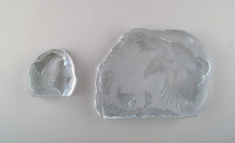 Paul Hoff for Swedish Glass et al. 2 glass blocks with motifs of birds of prey made of art glass. WWF. World wildlife foundation.
