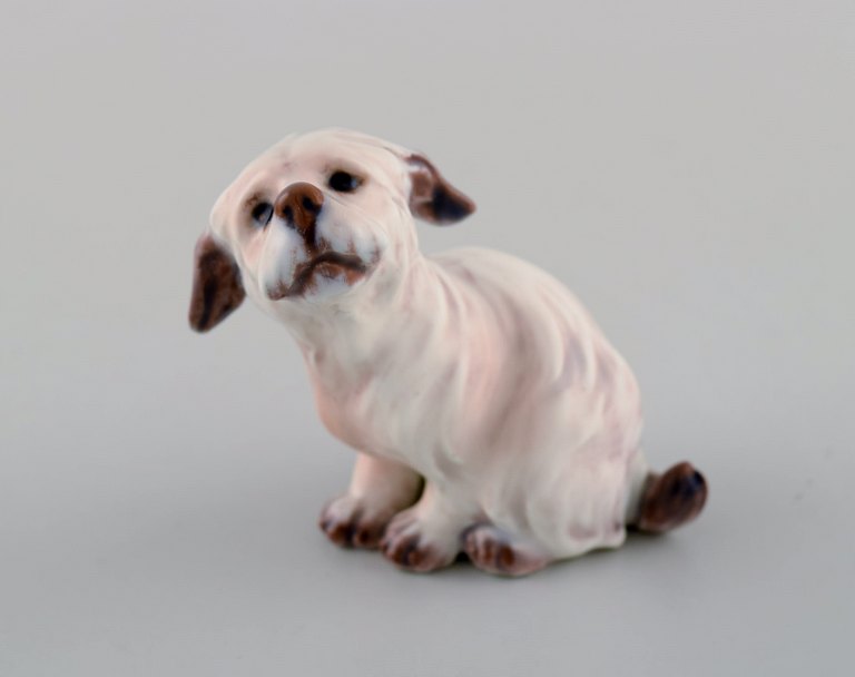 Dahl Jensen. Hund, malteser. Modelnummer 1120. 