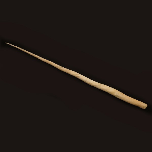 Stor Narhvalstand på 222cm. Vejer 6,05kg. Monodon MonocerosFlot profil med kraftige snoningerHjemtaget fra Grønland i 1979.Leveres med tro og love erklæring