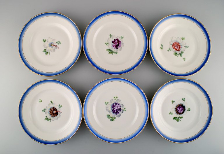 Seks antikke Royal Copenhagen tallerkener i håndmalet porcelæn med blomster og blå kant med guld. Modelnummer 592/9051. Sent 1800-tallet. 