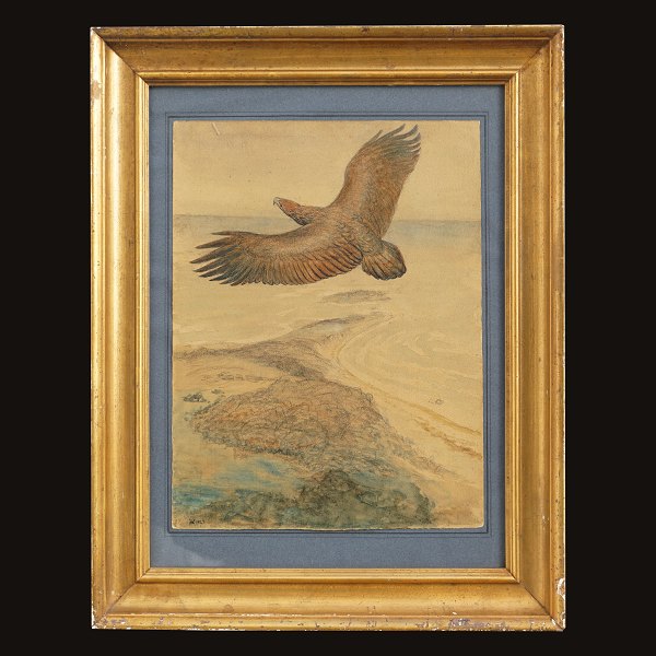 Johannes Larsen, 1867-1961, eagle. Watercolor and drawing. Signed and dated 1927. Visible size: 32x25cmn. With frame: 47x37cm