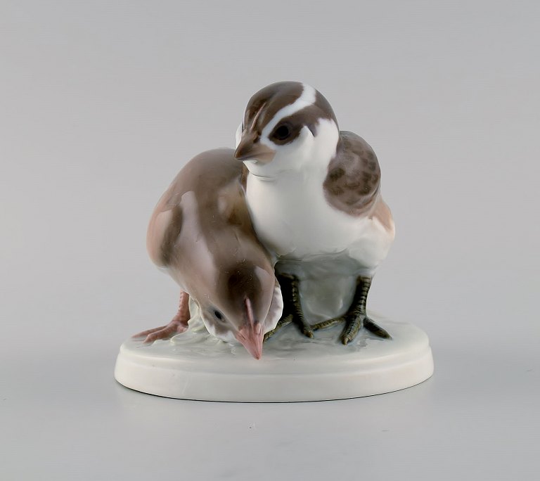 Rare Bing & Grøndahl porcelain figure. Two birds. Model number 1778. Early 20th century.