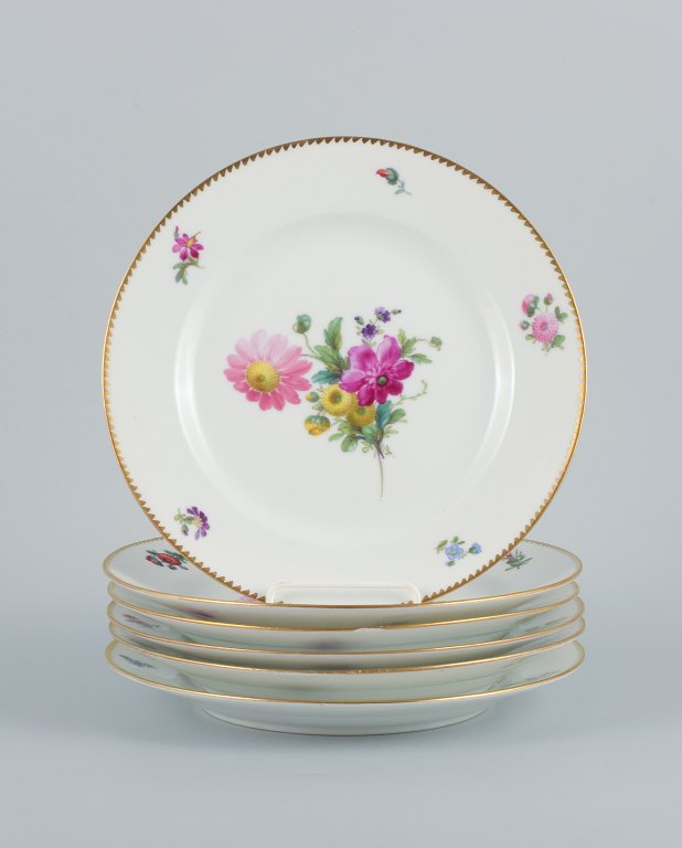 B&G, Bing & Grøndahl saksisk blomst.Seks middagstallerkner dekoreret med blomster og guldkant.