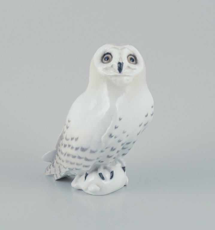 Royal Copenhagen. Stor og tidlig porcelænsfigur af hvid sneugle.Før 1900. Nummer 467.