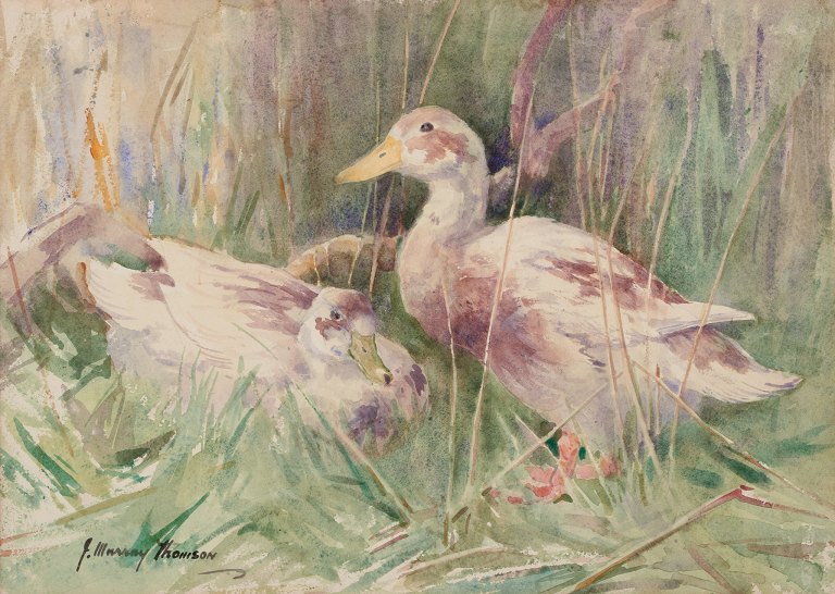 John Murray Thompson (1885-1974), akvarel på papir. Ænder i landskab.