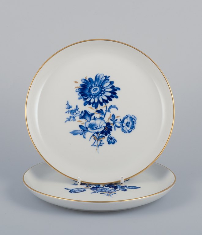Meissen, Tyskland. To tallerkner. Hånddekoreret med blå blomstermotiver, guldkant.