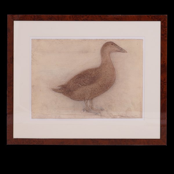 John Olsen, 1932-2019, mixed media on paper. Eider. Signed and dated 2016. Visible size: 38x52cm. Mit Rahmen: 63x75cm