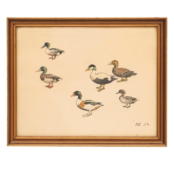 Johannes Larsen, 1867-1961, pencil and water color, ducks. Signed and dated Johanns Larsen 1954. Size: 26x32cm