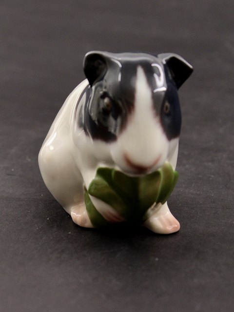 Bing & Grøndahl figur, marsvin 2499