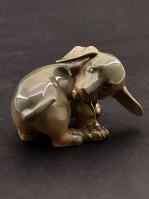Royal Copenhagen gravhund 1041