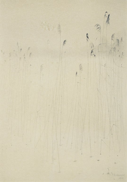 Gunnar Norrman, Sweden.“Vinterstrån”, 1971.Pencil on paper.